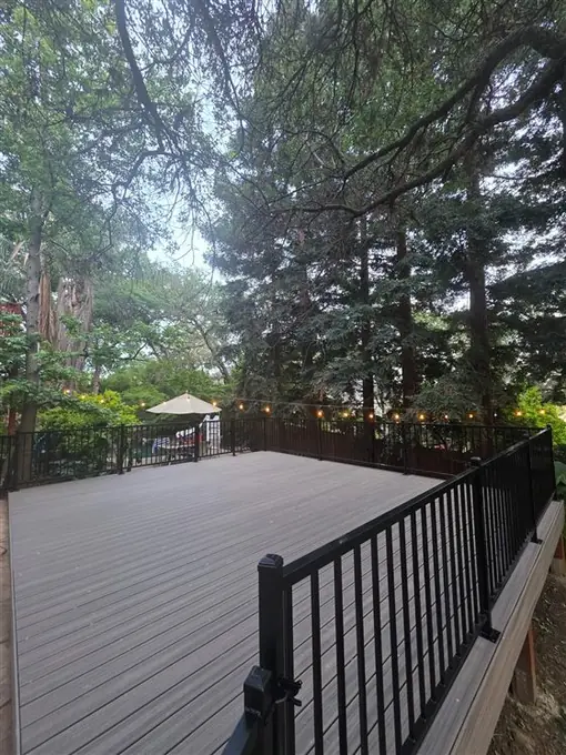 Ornamental iron railing and man gate by Palmer Fence in Folsom