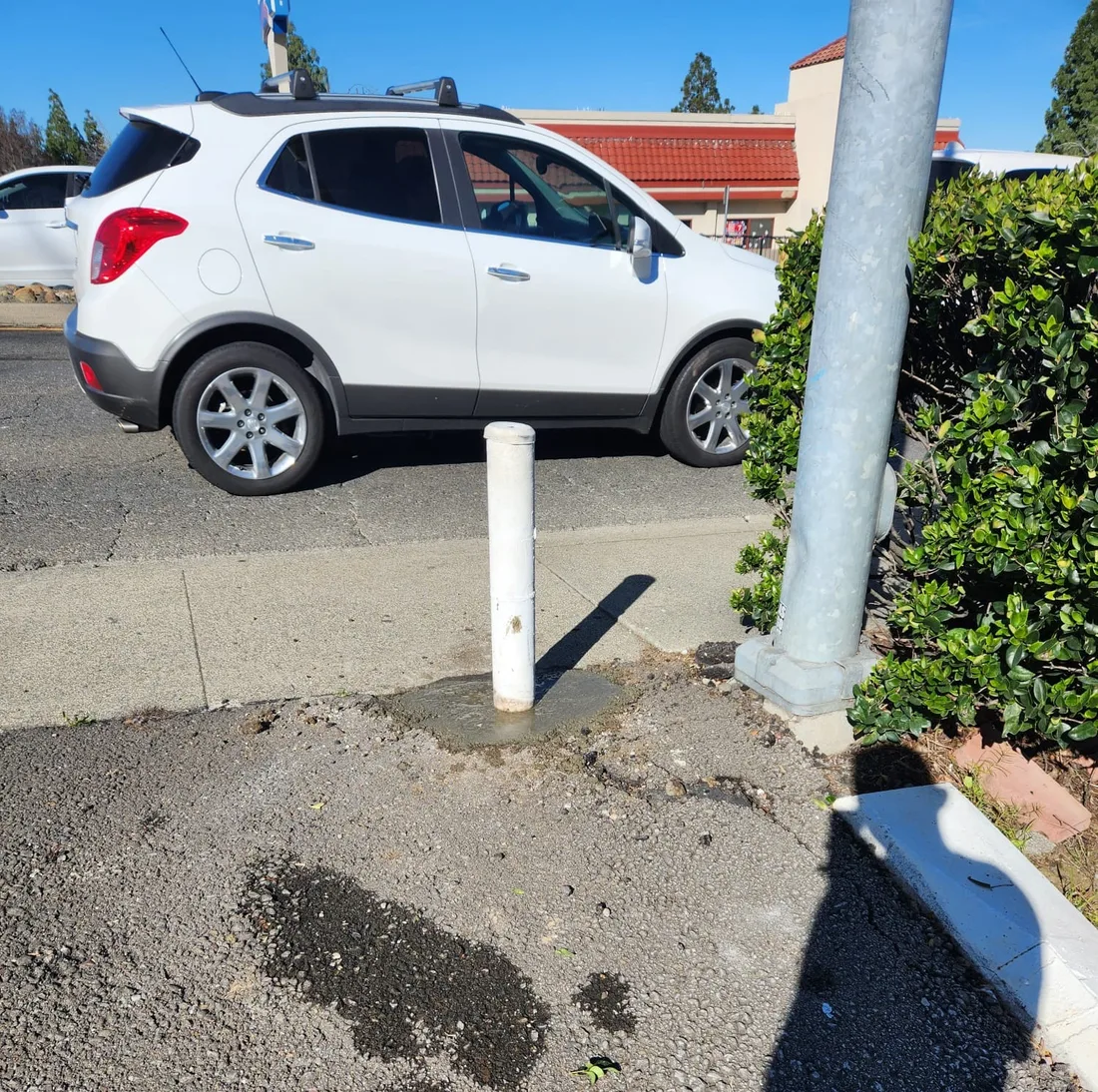 White steel bollard standing in a freshly poured concrete footing on a Palmer Fence job